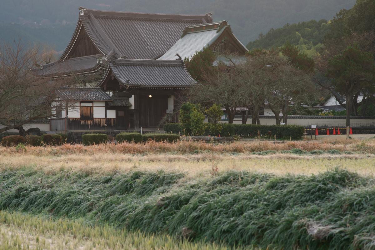 　明日香・橘寺　初霜_b0161171_12241703.jpg