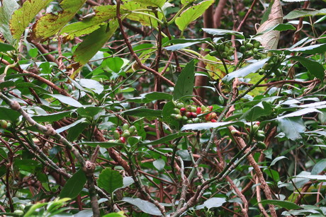e0292172_20395673.jpg