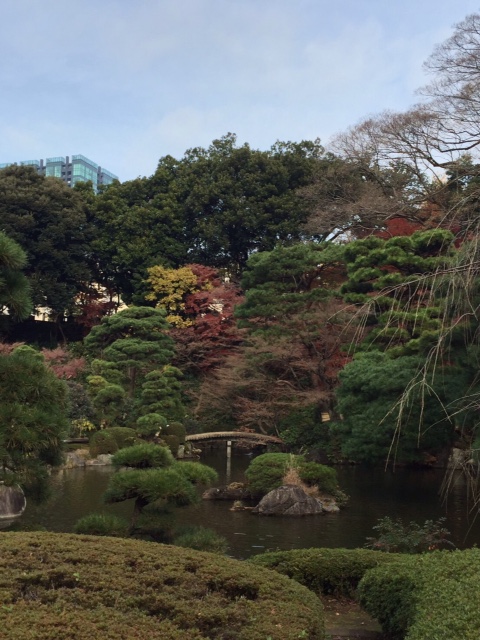 f0117977_14464234.jpg