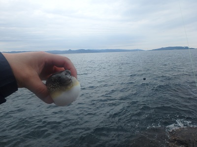 午後から釣行_d0195183_221172.jpg