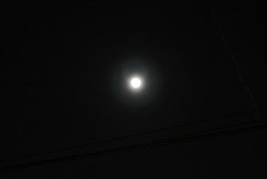 e0121583_20560946.jpg