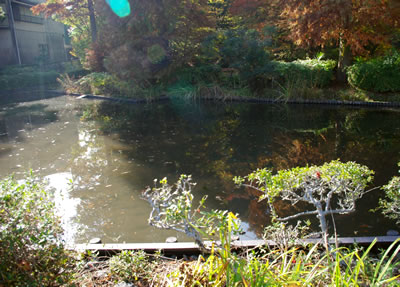 b0123486_1771844.jpg
