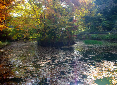 b0123486_19141159.jpg