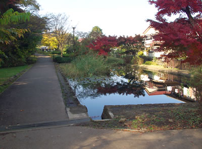 b0123486_205849100.jpg
