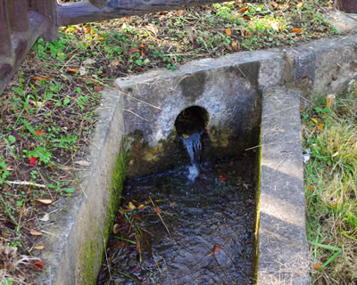 b0123486_21203429.jpg