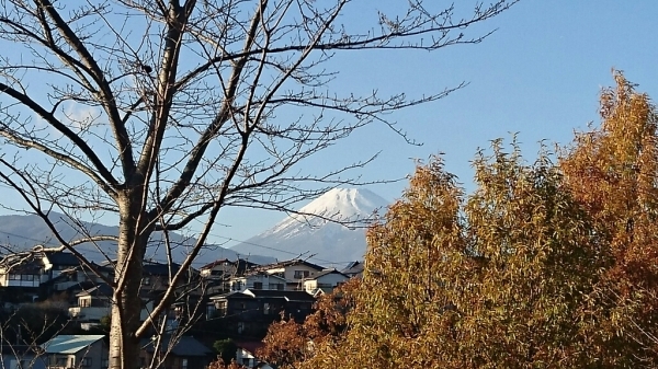 b0207497_13515413.jpg