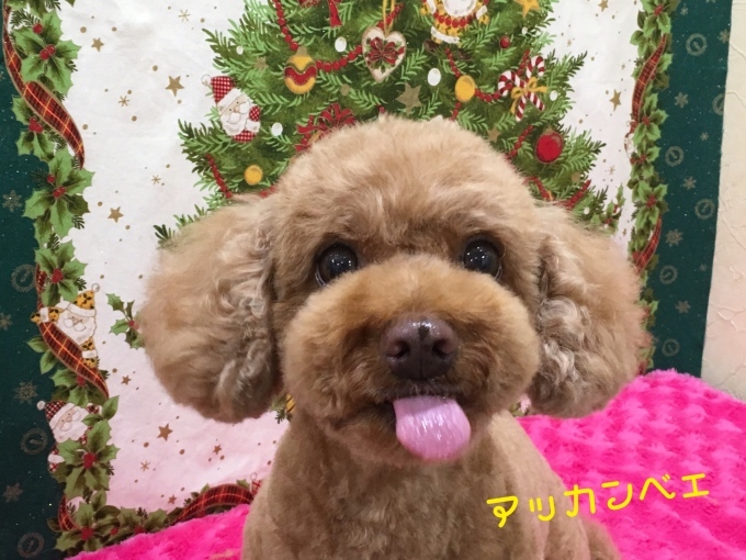 d0269898_00150114.jpeg
