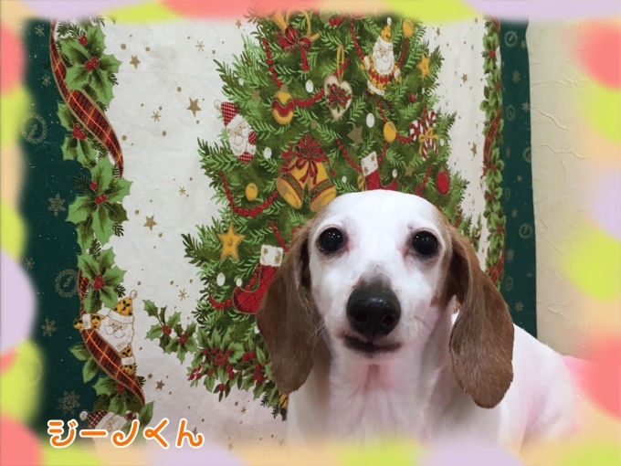 d0269898_00173056.jpeg