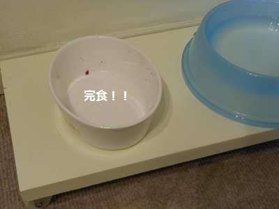 f0372998_22381635.jpg
