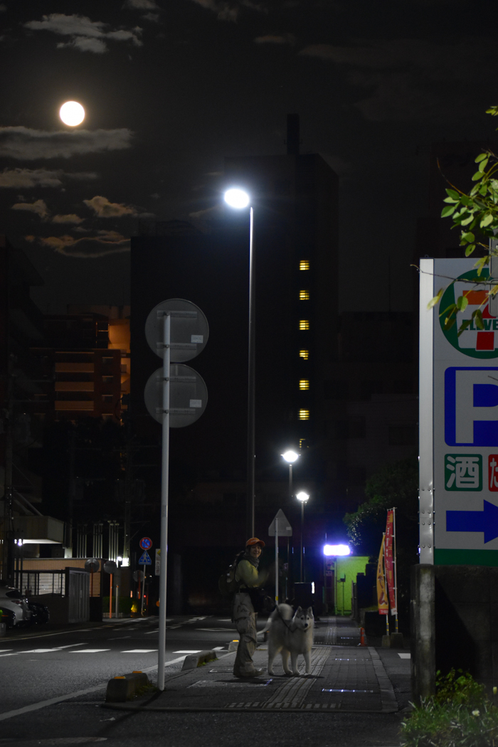 月にも太陽にもほえろ!! (^o^)_c0049299_22112245.jpg