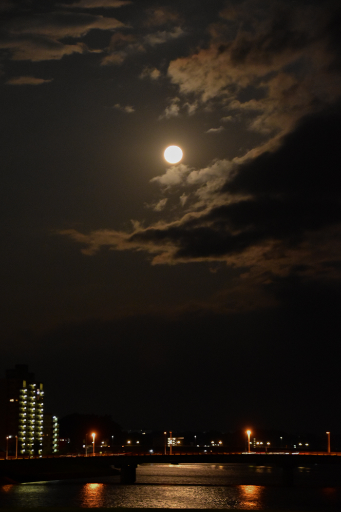 月にも太陽にもほえろ!! (^o^)_c0049299_22131996.jpg