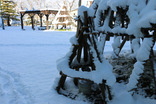 ライトアップの投稿器の雪の除去_c0075701_1548111.jpg