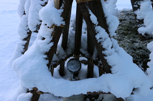 雪のキャンパス・１２月１５日（大雪・次候）　熊穴に蟄る・・・４_c0075701_1548188.jpg