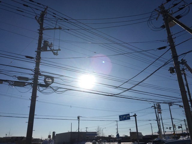 b0127002_1881683.jpg