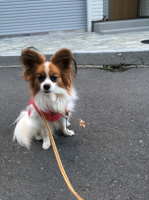 f0034602_21095819.jpeg