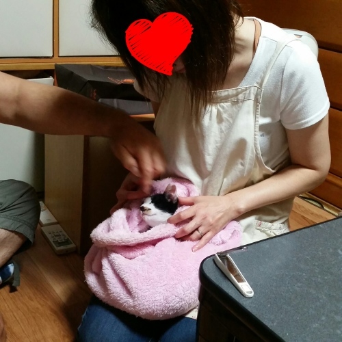 e0144012_21014372.jpeg