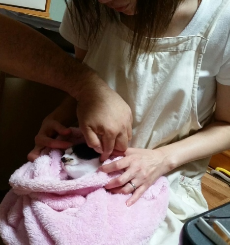 e0144012_21021526.jpeg
