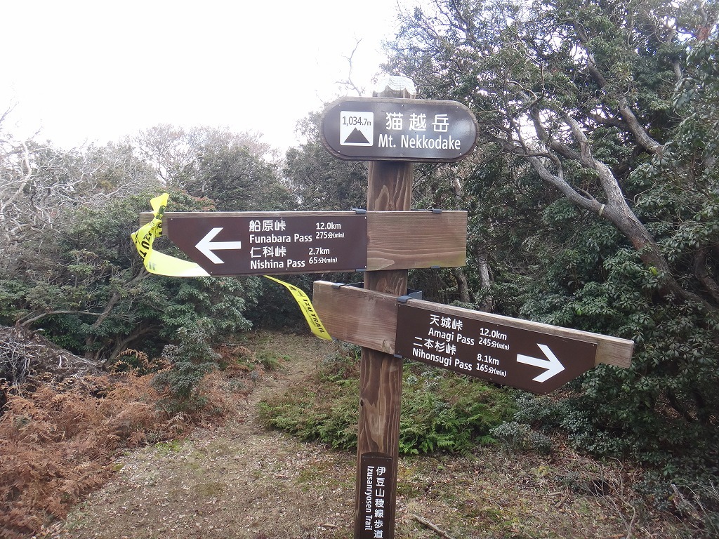 c0337813_11255042.jpg