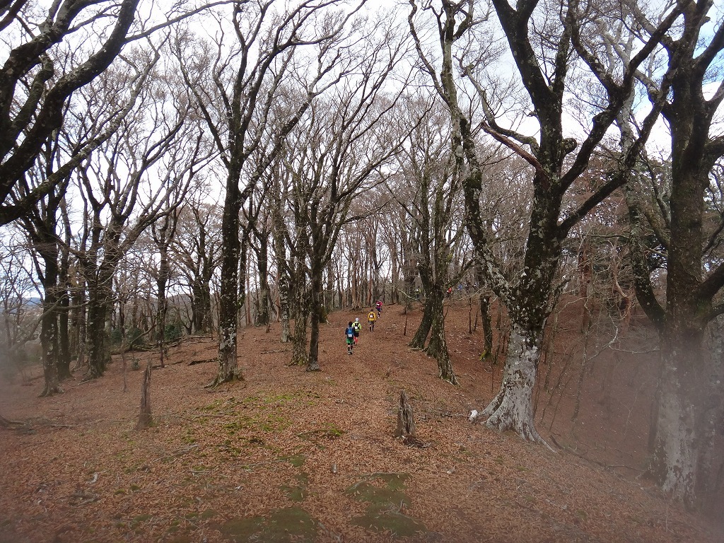 c0337813_11293433.jpg