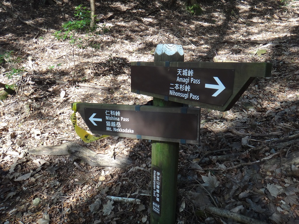 c0337813_11303674.jpg