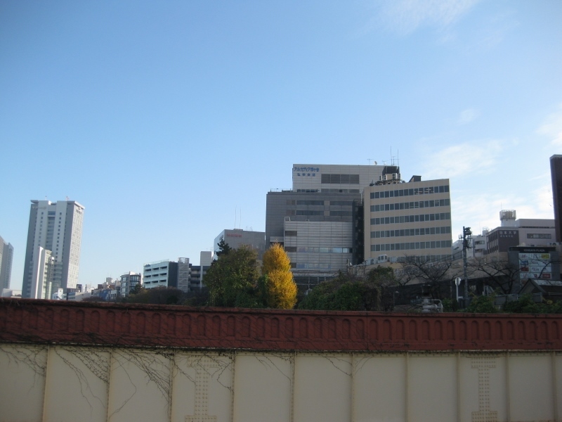 f0371014_19491103.jpg