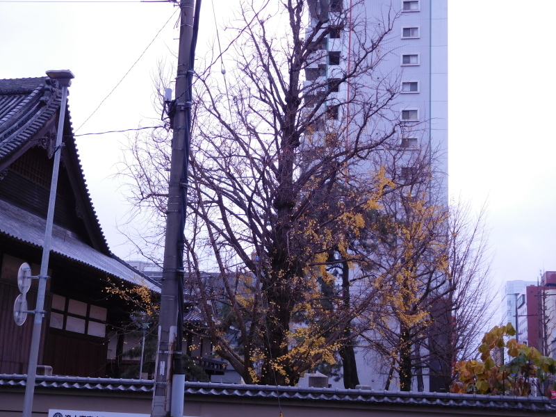a0125419_17155774.jpg