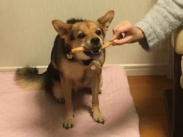 d0046821_19532977.jpeg