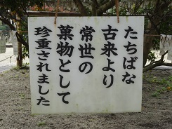 f0000521_7441829.jpg