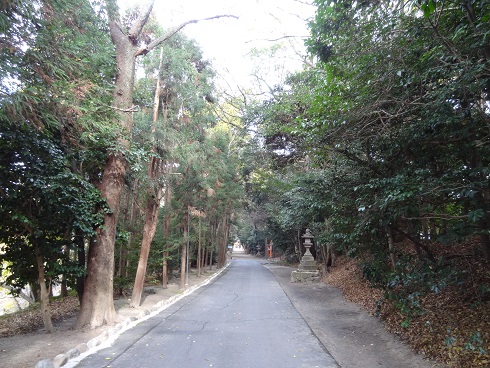 f0000521_745338.jpg