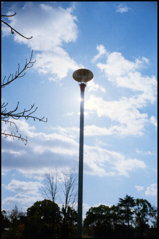 c0176622_15050743.jpg