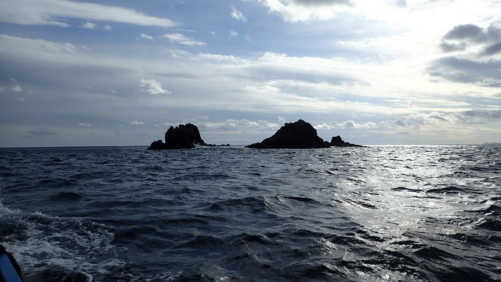 d0171823_20543422.jpg
