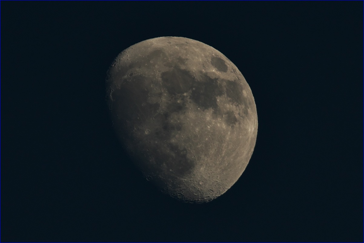 d0137627_11223444.jpg