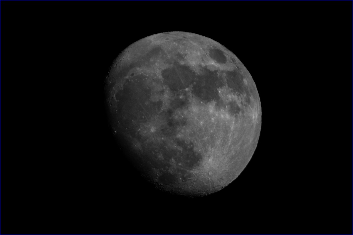 d0137627_1155166.jpg