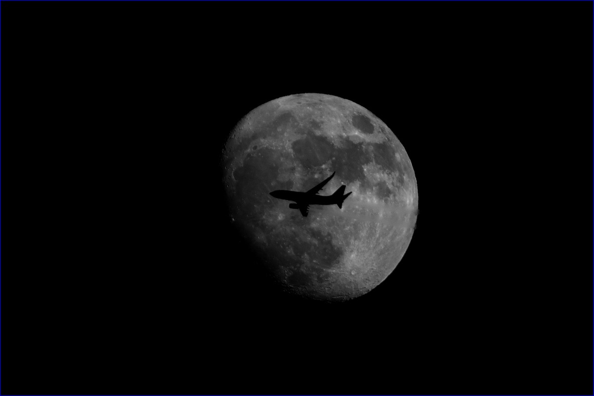 d0137627_1252870.jpg