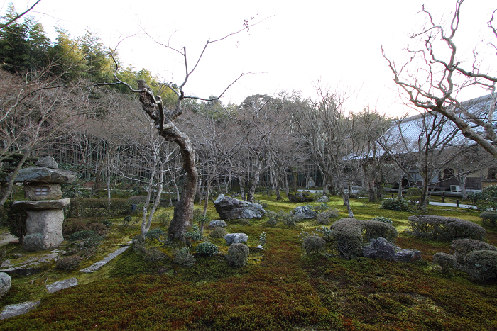 冬の圓光寺_b0169330_21452622.jpg