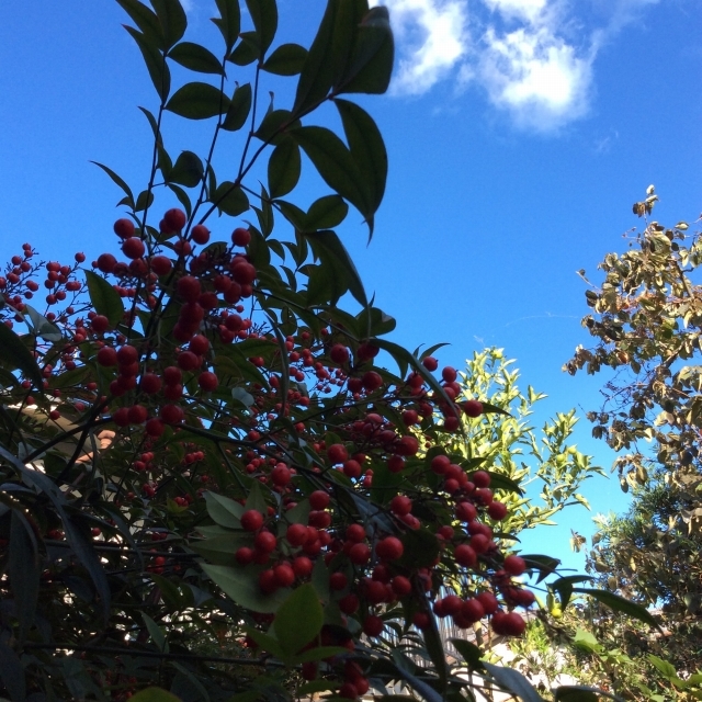 f0039933_15410217.jpg