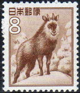 a0116442_23592351.jpg