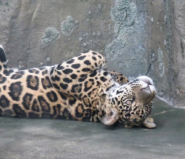 f0002743_21274891.jpg