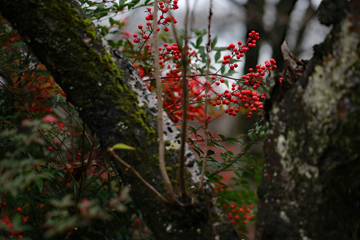 a0120949_814304.jpg