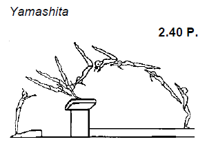 e0303850_7444774.png