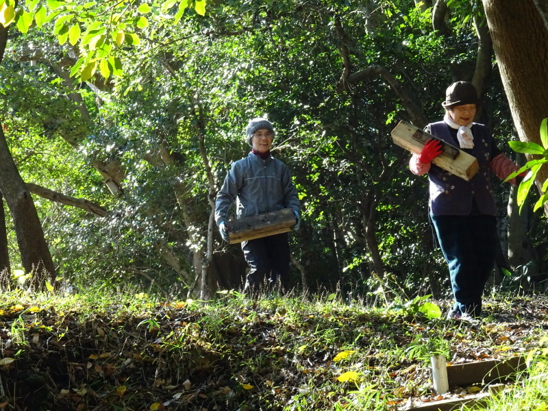 c0108460_20141292.jpg