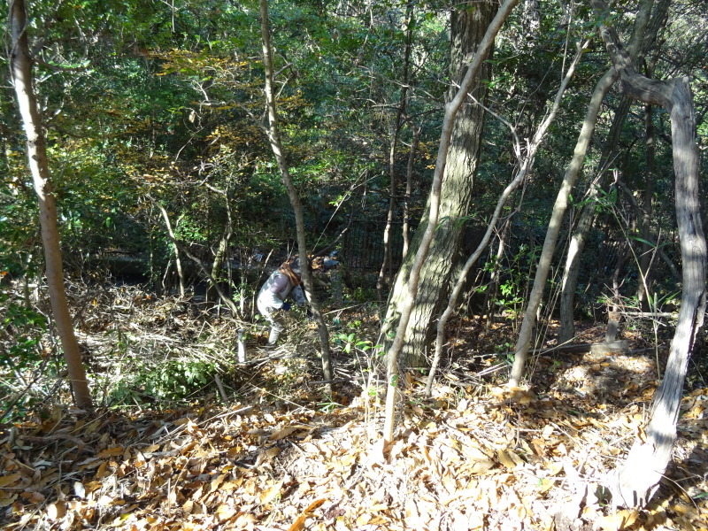 c0108460_20151890.jpg