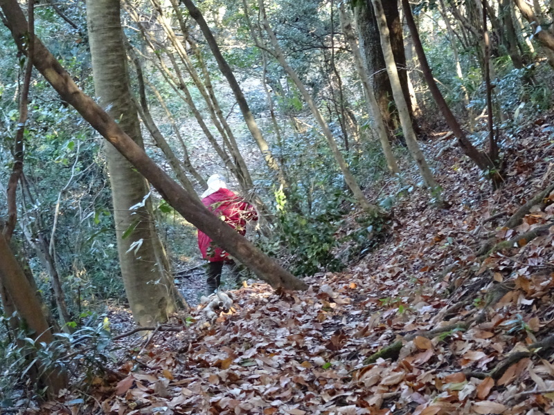 c0108460_20154128.jpg