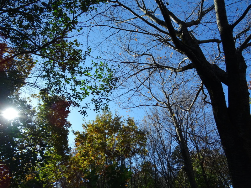 c0108460_20222841.jpg