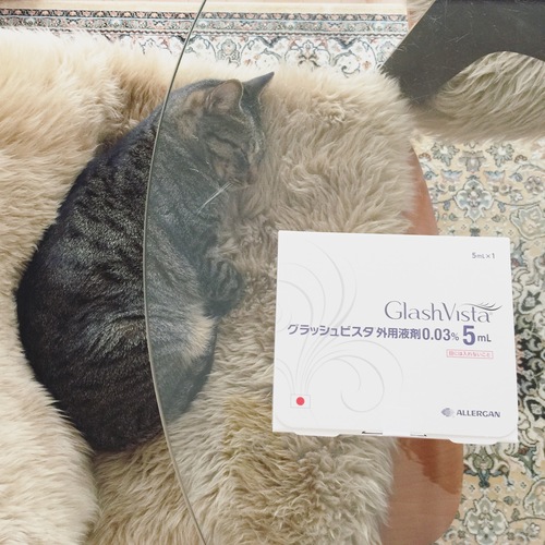 仕事放棄!_e0158970_15491163.jpg
