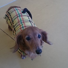 (●´ω` ●)ぽかぽか_f0357682_12305950.jpg