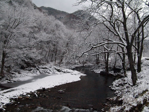 f0236291_8455340.jpg