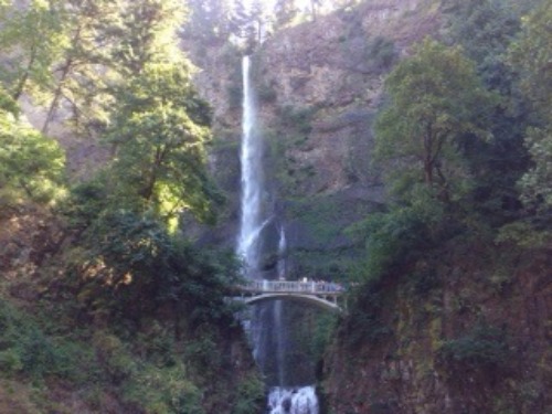 e0161692_10371096.jpg