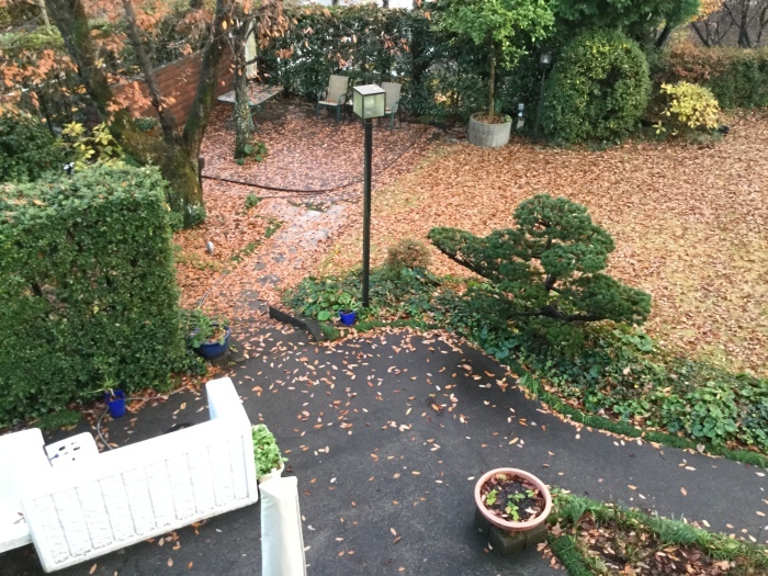 f0268294_22454056.jpg