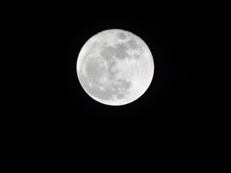 a0125598_00320617.jpg